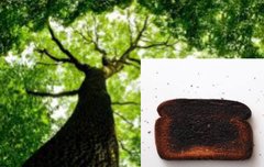 이거 아름이랑 페트라임