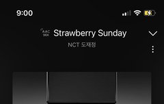 라이트한 시즈니에서