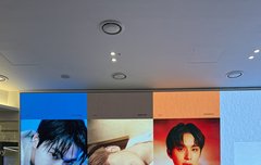 도재정 광고 본새 오지누