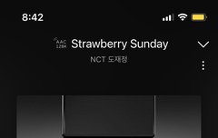 내가 사실 스밍을