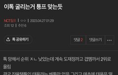 지최애 솔로는 노관심이고 도재정자컨프로모만 찾아보는