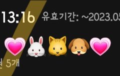 뮤빗 투표권 인증이요