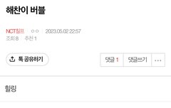 해찬이버블은 힐링이고 타멤버블은 욕박을려고 구독