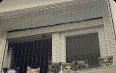 양정원 어디있지?