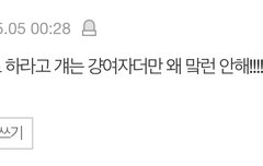 얘들아 나 이 싸움 계속 해도 되는 건지 봐줘