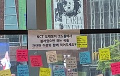 도재정 코노돌!