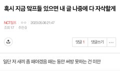 오늘의 웃상 1위 맠프야 미안해..