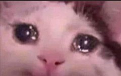 판에 남아있는 더비들 있냐