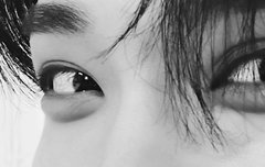 조슈아 사진 원본