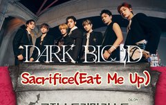 세크리파이스 스밍리스트!!