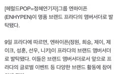 프라다 앰버서더 되다