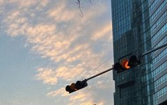 이번에 입덕한 캐럿이에요