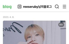 우울증갤러리 신대방팸 신야리 김피트 정체