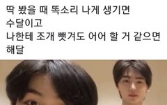 수달 그리고 해달