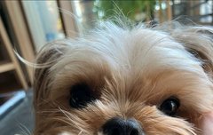 아 진짜 귀엽다