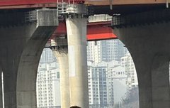 강아지들이 주인보다 의젓해보임