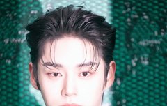 이게 기사사진이야 홈마 사진이야