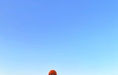 머리부터 발끝까지 거를 타선이 없음