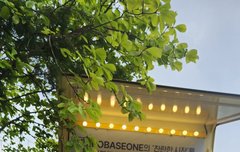 원래 기자님들한테도 커피차를 함...?