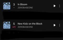 멜론 핫백 찢었다