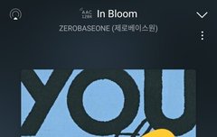 지금 순위 계속 떨어지고 있어ㅠ