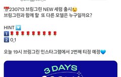 브링그린 모델하나보네