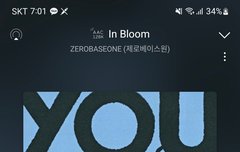 순위가 계속 떨어지는 이유가 뭘까