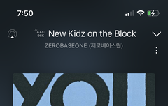 브링그린 사진 어디 뜸?