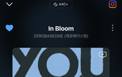 다들 비트랑 챔심 모으구있지?