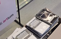 탐라에서 천사 제로즈 발견