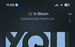 우리 버블은 언제 열어줄까...