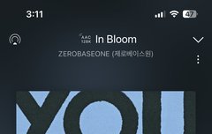 우리 진짜 심각함