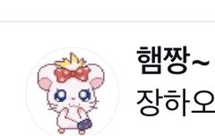 하오 네임드 햄짱님 탈빠하셧어??
