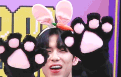 나 데이식스 입덕했는데