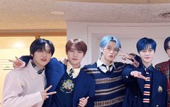 드림 비율 실물짤