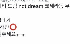 이해찬만 분철남는거 한두개가 아님