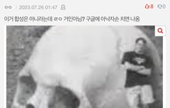 진격거 실화라니까