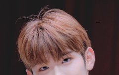 아 태래 보고싶다