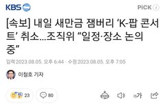 잼버리 콘서트 취소는 맞는 것 같음ㅇㅇ