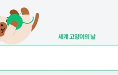 고양이노래 좋다