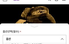 마크 드림에서 인기 1위네 최근 앨범판매