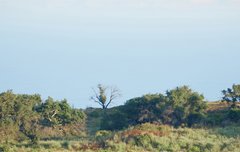 오늘 올라온 사진들