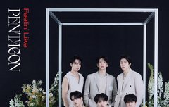 아니 너무 가성비라 한숨만 나와