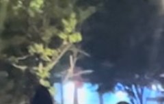 원빈이랑 타로 목격짤 !!!!