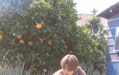 안녕하세여 시즈니 분들......