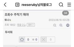 내가 쓴글 조회수 조작하면 뭐함? 니들짓 블로그에 박제함