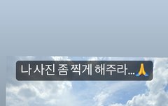 칠쪽이들 개귀여움