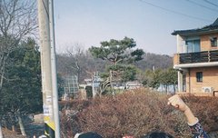 아사히가 쓰는 필카 앱 뭔지 아는 사람 ㅠ