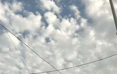 원빈이 울산에 현수막 봤대