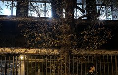 트제 얘넨 진짜 자기들끼리 재밌게 논다